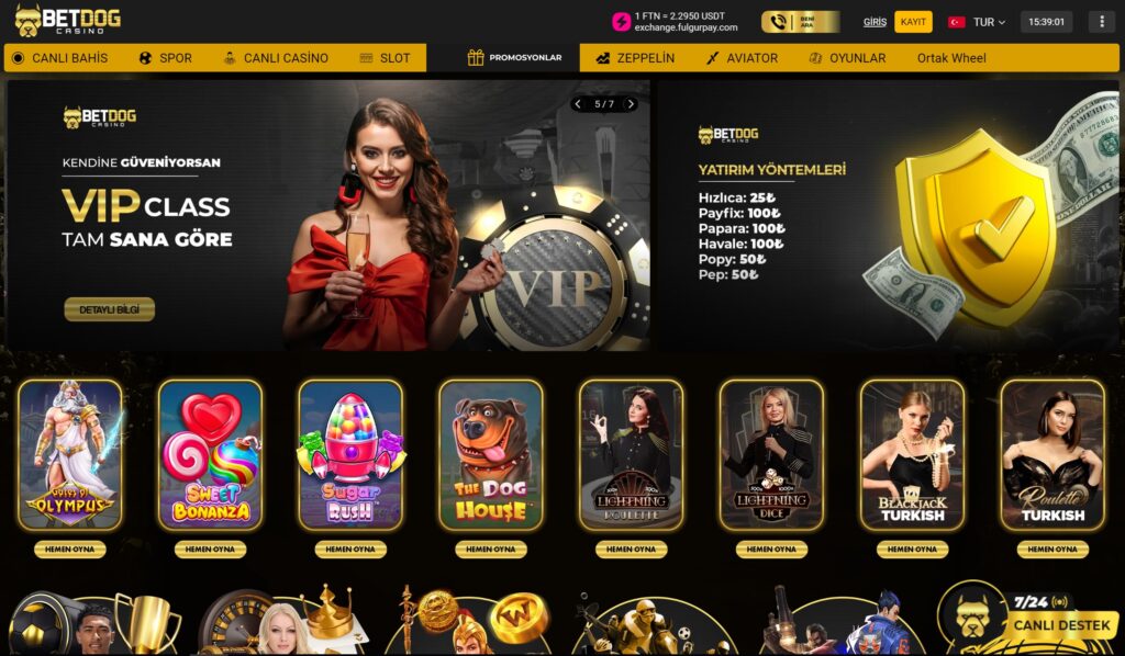 betdog